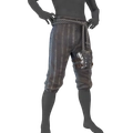 Image of Tinkerer's Pants in codex search.