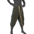 Image of Vikram's Pants in codex search.
