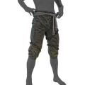 Image of Waterlogged in codex search.