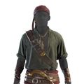 Image of Ashen Followers in codex search.
