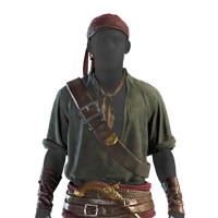 Ashen Followers icon