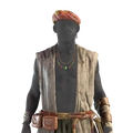 Image of The Seasoned in codex search.