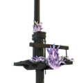 Image of Sky Agleam in codex search.