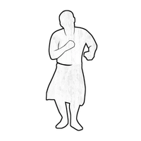The Chicken icon