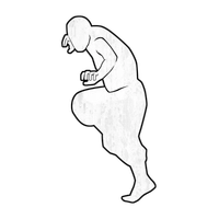 Tiger Stance icon