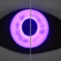 Image of Amethyst Gaze in codex search.