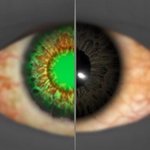 Betrayal's Gleam icon