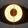 Image of Citrine Gaze in codex search.