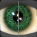 Image of Fever Green in codex search.