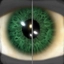 Fever Green