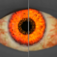 Firesight icon