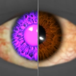 Ink Gaze icon