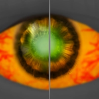 Mirrored Gaze icon