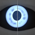 Image of Mirada de zafiro in codex search.