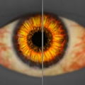 Image of Sight of Gods in codex search.