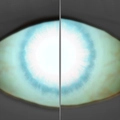 Image of Soulsight in codex search.