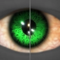 Image of What We Hide in codex search.