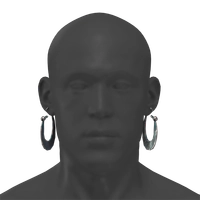 Opulent Earrings icon