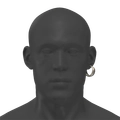 Image of Reaver's Earrings in codex search.