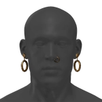 Swindler's Loops icon