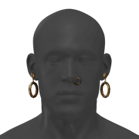 Swindler's Loops icon