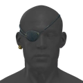Image of Van Kroon's Gaze in codex search.