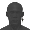 Image of Vikram's Earring in codex search.