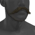 Image of British Mustache in codex search.