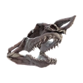 Image of Jaws in codex search.