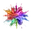 Rainbow Star Icon