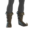 Image of Boots of Reproach in codex search.