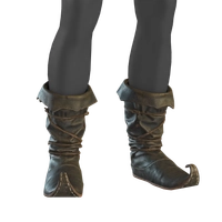 Stiefel der Vorwürfe icon