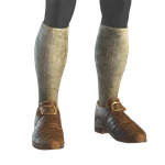Buckled Shoes icon