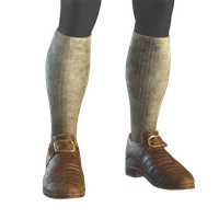 Buckled Shoes icon