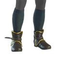 Image of Buckled Shoes in codex search.
