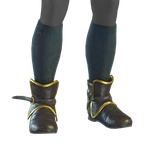 Buckled Shoes icon