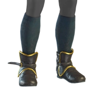 Buckled Shoes icon
