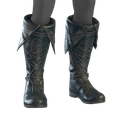 Image of Echo Noir in codex search.