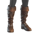 Image of Evader's Boots in codex search.