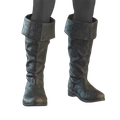 Image of Exalted Boots in codex search.
