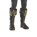 Image of Fur-lined Boots in codex search.