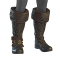 Image of Gallant Steps in codex search.
