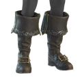 Image of Heavy Boots in codex search.