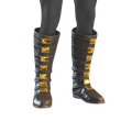 Image of Botas de caña alta in codex search.