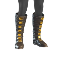 Botas de caña alta icon