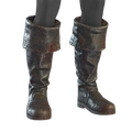 Image of Hip Waders in codex search.