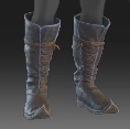 Image of Lavender-lined Boots in codex search.