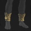 Image of Leg Bindings in codex search.
