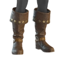 Image of Lucky Gold Boots in codex search.