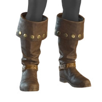 Lucky Gold Boots icon